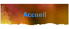 Accueil